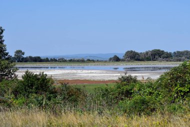 Avusturya, Burgenland 'daki Neusiedlersee-Seewinkel ulusal parkı, Pannonian ovalarında, bozkır manzarası, sulak alanlar, tuz göletleri ve kuş yaşamı ile bilinen popüler gezi merkezi.
