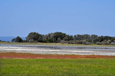 Avusturya, Burgenland 'daki Neusiedlersee-Seewinkel ulusal parkı, Pannonian ovalarında, bozkır manzarası, sulak alanlar, tuz göletleri ve kuş yaşamı ile bilinen popüler gezi merkezi.