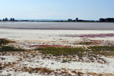 Avusturya, Burgenland 'daki Neusiedlersee-Seewinkel ulusal parkı, Pannonian ovalarında, bozkır manzarası, sulak alanlar, tuz göletleri ve kuş yaşamı ile bilinen popüler gezi merkezi.