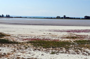 Avusturya, Burgenland 'daki Neusiedlersee-Seewinkel ulusal parkı, Pannonian ovalarında, bozkır manzarası, sulak alanlar, tuz göletleri ve kuş yaşamı ile bilinen popüler gezi merkezi.