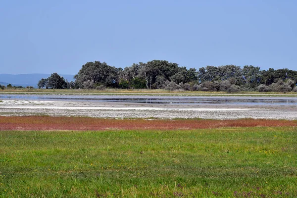Avusturya, Burgenland 'daki Neusiedlersee-Seewinkel ulusal parkı, Pannonian ovalarında, bozkır manzarası, sulak alanlar, tuz göletleri ve kuş yaşamı ile bilinen popüler gezi merkezi.