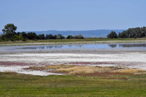 Avusturya, Burgenland 'daki Neusiedlersee-Seewinkel ulusal parkı, Pannonian ovalarında, bozkır manzarası, sulak alanlar, tuz göletleri ve kuş yaşamı ile bilinen popüler gezi merkezi.