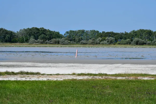 Avusturya, Burgenland 'daki Neusiedlersee-Seewinkel ulusal parkı, Pannonian ovalarında, bozkır manzarası, sulak alanlar, tuz göletleri ve kuş yaşamı ile bilinen popüler gezi merkezi.