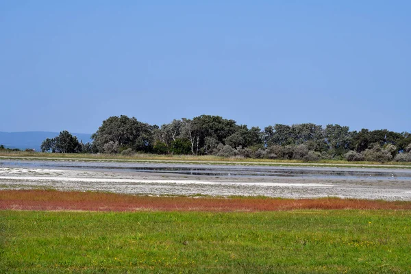 Avusturya, Burgenland 'daki Neusiedlersee-Seewinkel ulusal parkı, Pannonian ovalarında, bozkır manzarası, sulak alanlar, tuz göletleri ve kuş yaşamı ile bilinen popüler gezi merkezi.