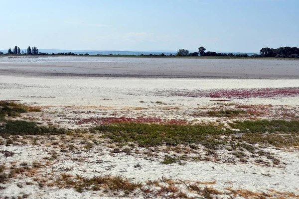Avusturya, Burgenland 'daki Neusiedlersee-Seewinkel ulusal parkı, Pannonian ovalarında, bozkır manzarası, sulak alanlar, tuz göletleri ve kuş yaşamı ile bilinen popüler gezi merkezi.