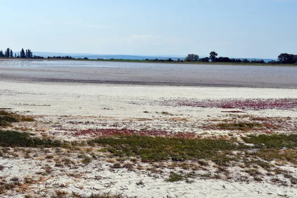 Avusturya, Burgenland 'daki Neusiedlersee-Seewinkel ulusal parkı, Pannonian ovalarında, bozkır manzarası, sulak alanlar, tuz göletleri ve kuş yaşamı ile bilinen popüler gezi merkezi.