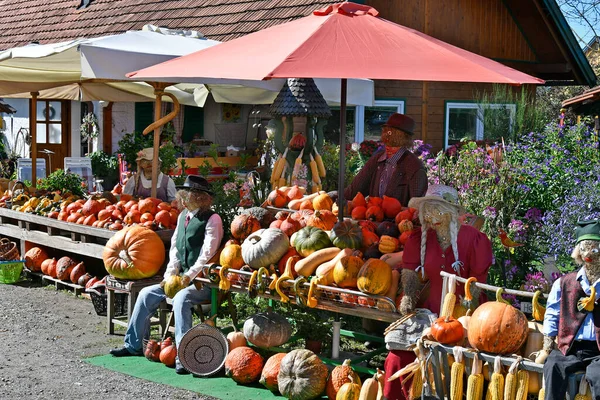 Autriche Présentation Soi Disant Magasin Ferme Hofladen Aka Pour Commercialisation — Photo