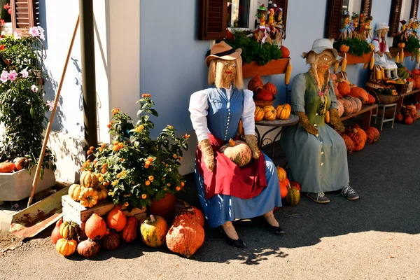 Avusturya, Güney Styrian şarap rotasında yer alan kendi ürünlerinin pazarlanması için Hofladen namı diğer tarım dükkanı için sunum