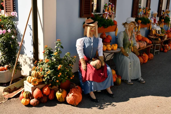 奥地利 介绍一家所谓的Hofladen Aka农场商店 销售位于南斯特里安葡萄酒路线上的带有滑稽木偶和稻草图案的自有产品 — 图库照片