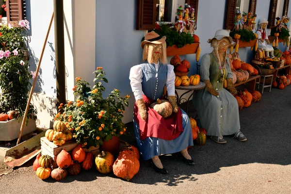 Австрия Презентация Называемого Hofladen Aka Farm Shop Продажи Собственной Продукции — стоковое фото