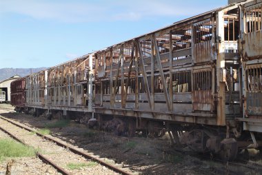 Güney Avustralya, demiryolu