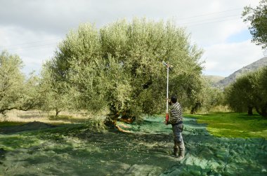Yunanistan, Girit