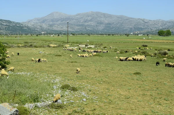 Yunanistan, Girit — Stok fotoğraf