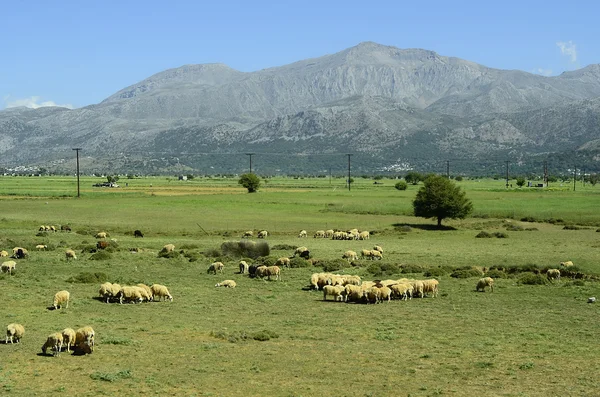 Grecja, Kreta — Zdjęcie stockowe