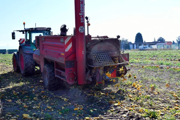 Reisenberg Austria October 2021 Unidentified Farmer Tractor Machine Harvest Pumpkins — Stock Photo, Image