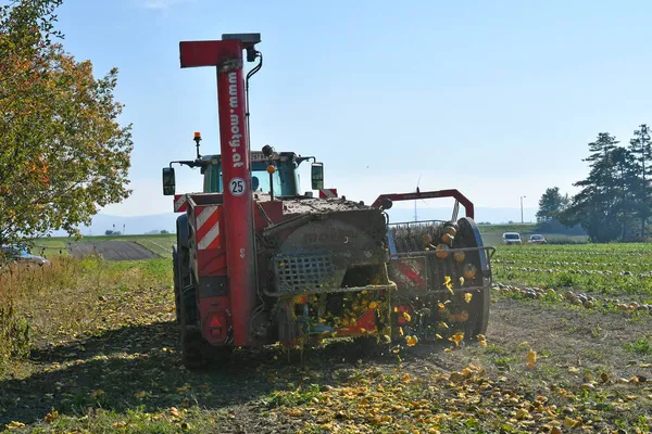 Reisenberg Austria October 2021 Unidentified Farmer Tractor Machine Harvest Pumpkins — Stock Photo, Image