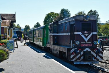 Stainz, Avusturya - 23 Eylül 2021: Flascherlzug denilen vagonların renkli vagonları - şişe treni - dar çaplı bir demiryolu ve Batı Styria 'da popüler bir turistik eğlence merkezi, dizel lokomotifte bilinmeyen motor sürücüsü