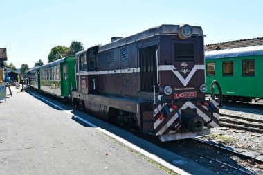 Stainz, Avusturya - 23 Eylül 2021: Flascherlzug denilen şişe treninin renkli vagonları - dar ölçülü demiryolu ve Batı Styria 'da popüler bir turizm merkezi