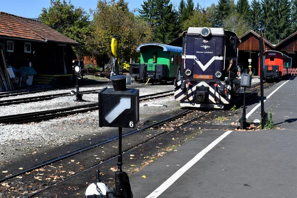 Stainz Austria Septiembre 2021 Vagones Coloridos Locomotora Del Llamado Flascherlzug —  Fotos de Stock