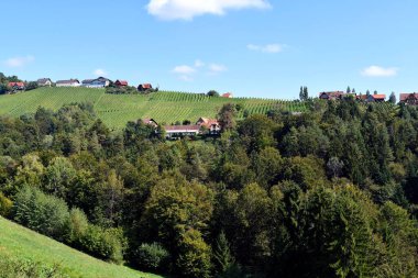 Avusturya, Kitzeck im Sausal 'ın dik yamaçlarındaki üzüm bağları Styrian şarap rotasında yer almaktadır. Tepe manzarası Avusturya' nın Toskana 'sı olarak da bilinir.