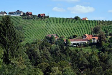 Avusturya, Kitzeck im Sausal 'ın dik yamaçlarındaki üzüm bağları Styrian şarap rotasında yer almaktadır. Tepe manzarası Avusturya' nın Toskana 'sı olarak da bilinir. 