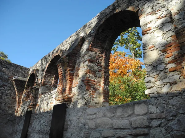 Basse Autriche Regardant Par Fenêtre Une Ruine Médiévale Les Feuilles — Photo