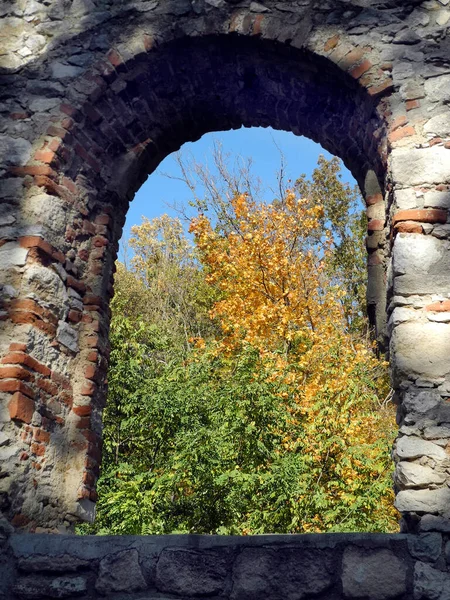 Нижняя Австрия Глядя Окно Средневековой Руины Светящиеся Листья Лиственного Леса — стоковое фото