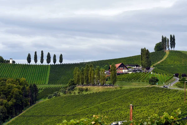 Glanz Autriche Septembre 2021 Vignobles Sur Les Pentes Escarpées Vallée — Photo