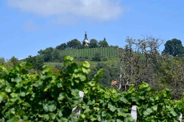Áustria Vinhas Nas Encostas Íngremes Kitzeck Sausal Localizado Rota Vinho — Fotografia de Stock
