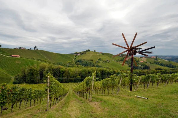 Österreich Traditionelle Klapotez Vogelscheuche Und Weinberge Den Steilen Hängen Der — Stockfoto