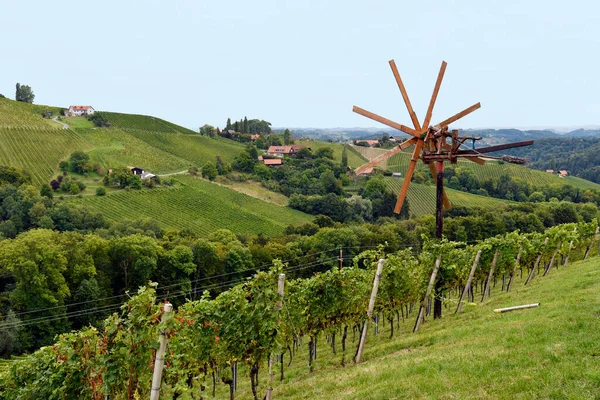 Austria Klapotetz Kind Scarecrow Vineyards Steep Slopes Sulm Valley Located — 图库照片