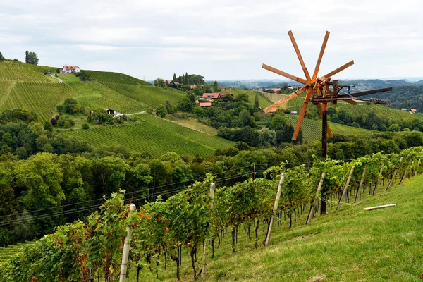 Rakousko Klapotetz Vinice Strmých Svazích Sulm Valley Nachází Štýrské Vinařské — Stock fotografie