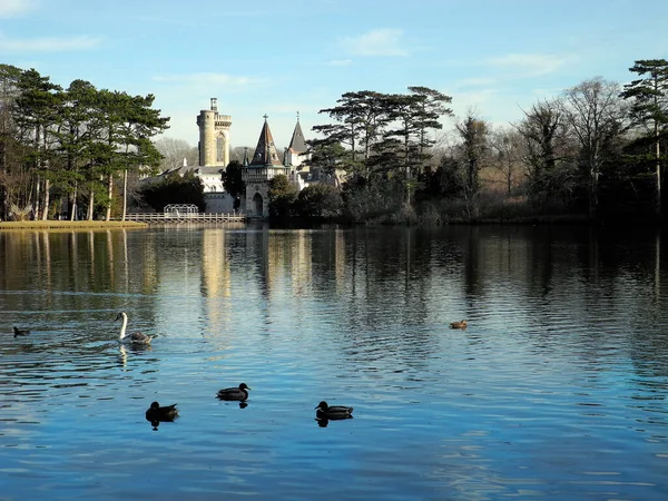 Laxenburg Austria January 2022 Castle Pond Walkway Visitors Franzensburg Castle — ストック写真