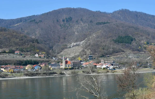 Austria Schwallenbach Con Iglesia San Segismundo Terrazas Para Viticultura Unesco —  Fotos de Stock