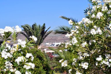 Greece, landscape on Santorini Island