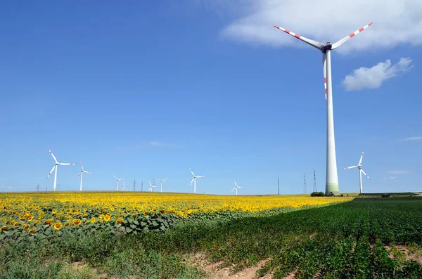 Austria Wind Turbines Alternative Environmental Protection Energy Production — Foto de Stock