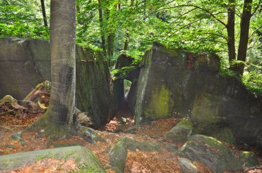 Avusturya, Hohl-Felsen-Hollow Kayası, Koralm Kristall Patikası 'nın bir parçası olan özellikle dirençli bir madde olan eklogite kayası ile doğal bir harikadır.,