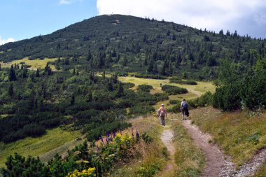 Avusturya, Aşağı Avusturya 'daki Rax Dağı' nda kimliği belirsiz yürüyüş yapan insanlar.
