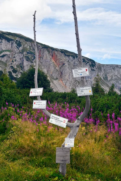 Oostenrijk Rax Berg Neder Oostenrijk Wegwijzer Met Tijden Naar Diverse — Stockfoto