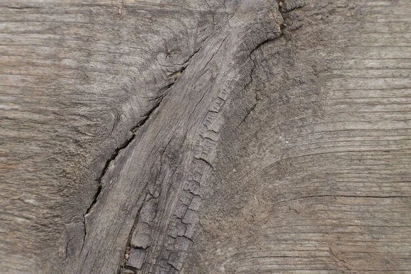 Фотография Крупным Планом Старого Серого Деревянного Фона Стены — стоковое фото