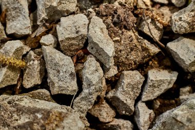 Bir çok küçük taşın zemin taşı gri arkaplanı