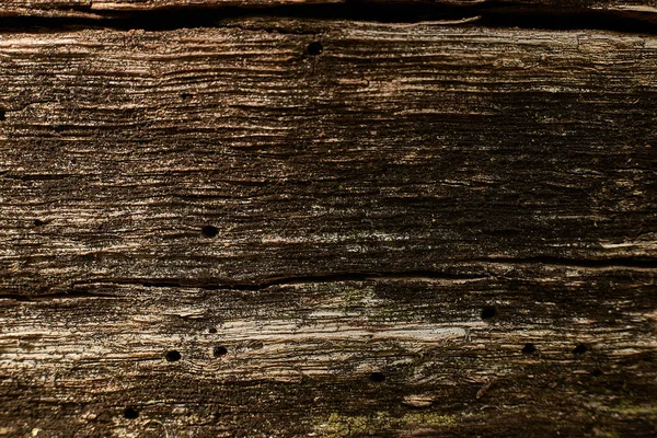 Couleur de chêne de surface en bois brun foncé Modèle divisé pour la texture et l'espace de copie dans le fond de la conception — Photo