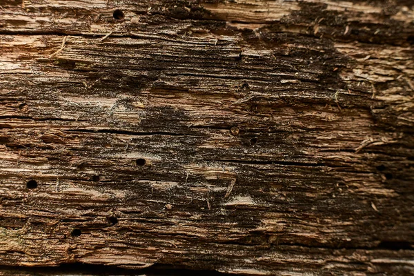 Sötétbarna fa felület tölgy szín Split minta textúra és másolás tér tervezési háttér — Stock Fotó