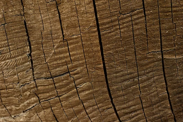 Warna oak permukaan kayu coklat gelap Pola bagi tekstur dan salin ruang di latar belakang desain — Stok Foto