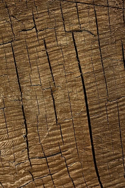 Couleur de chêne de surface en bois brun foncé Modèle divisé pour la texture et l'espace de copie dans le fond de la conception — Photo