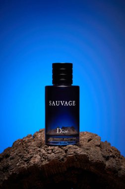 Kyiv, Ukrayna - 22 Haziran 2022: Sauvage Dior erkek parfümünün stüdyo ürünü imajı, şirket ilk olarak Aralık 1946 'da kuruldu..