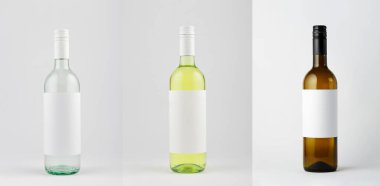 Wine bottles collection different colors with white blank labels isolated on white background, mock up.