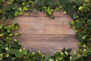 Wooden background. Frame of green hops on rustic old wooden boards. Copy space.
