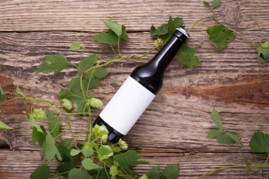Beer bottle lies on wooden background with hop cones, close up. White label mock up