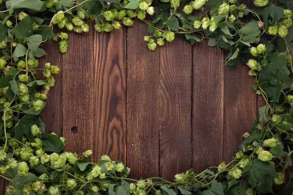 Wooden Background Frame Green Hops Rustic Old Wooden Boards Copy — Zdjęcie stockowe